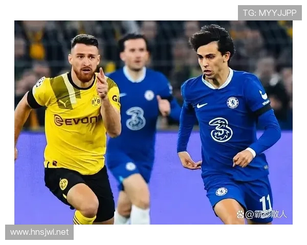 贝尔纳多本赛季英超传球成功率与稳健表现解析